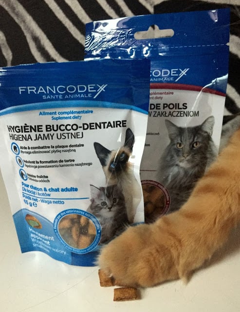 Przysmaki dentystyczne dla kota.