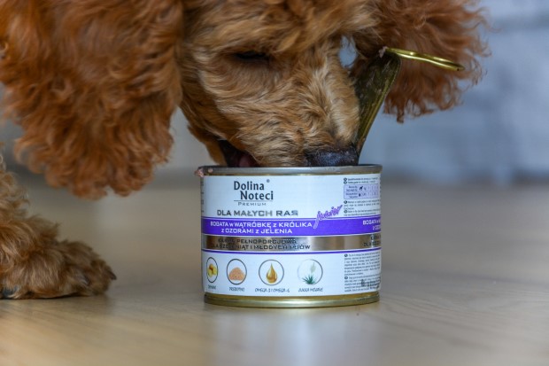 Dolina noteci mokra karma dla psów ras małych.