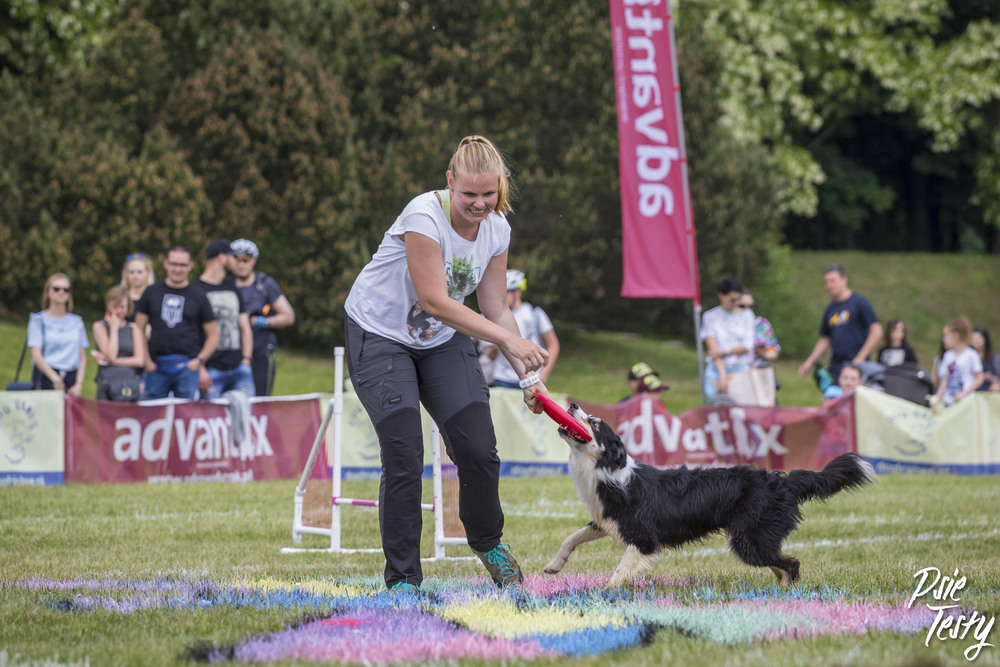 Frisbee z psem.