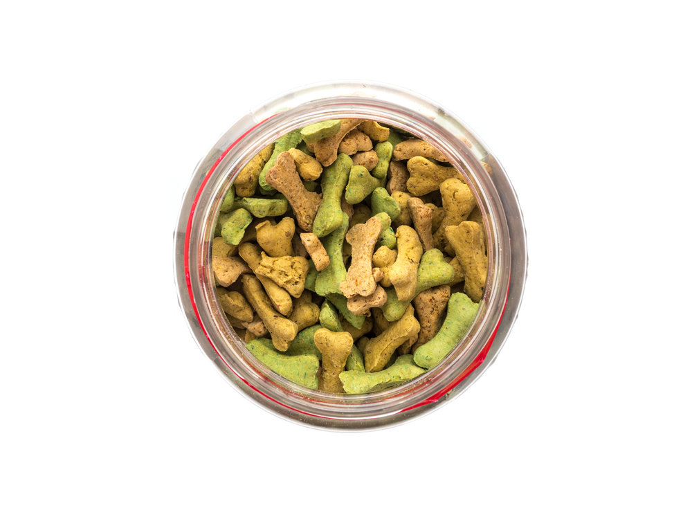 Słoiczek z kosteczkami dla psów. Przekąski z kurkumą mają właściwości prozdrowotne