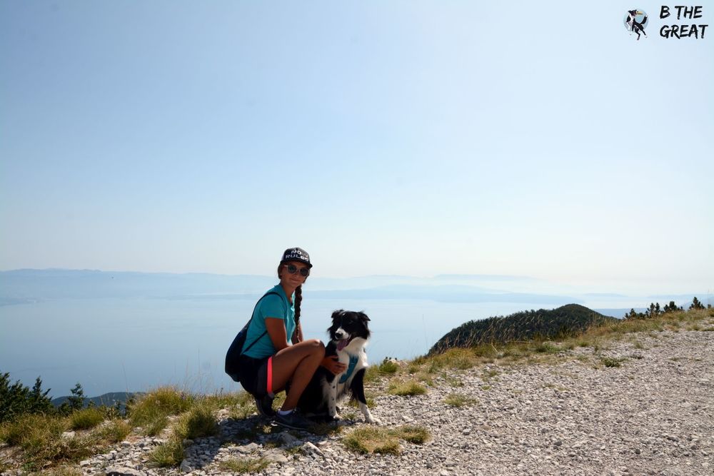 Top 3 zabawki dla psa niszczyciela.