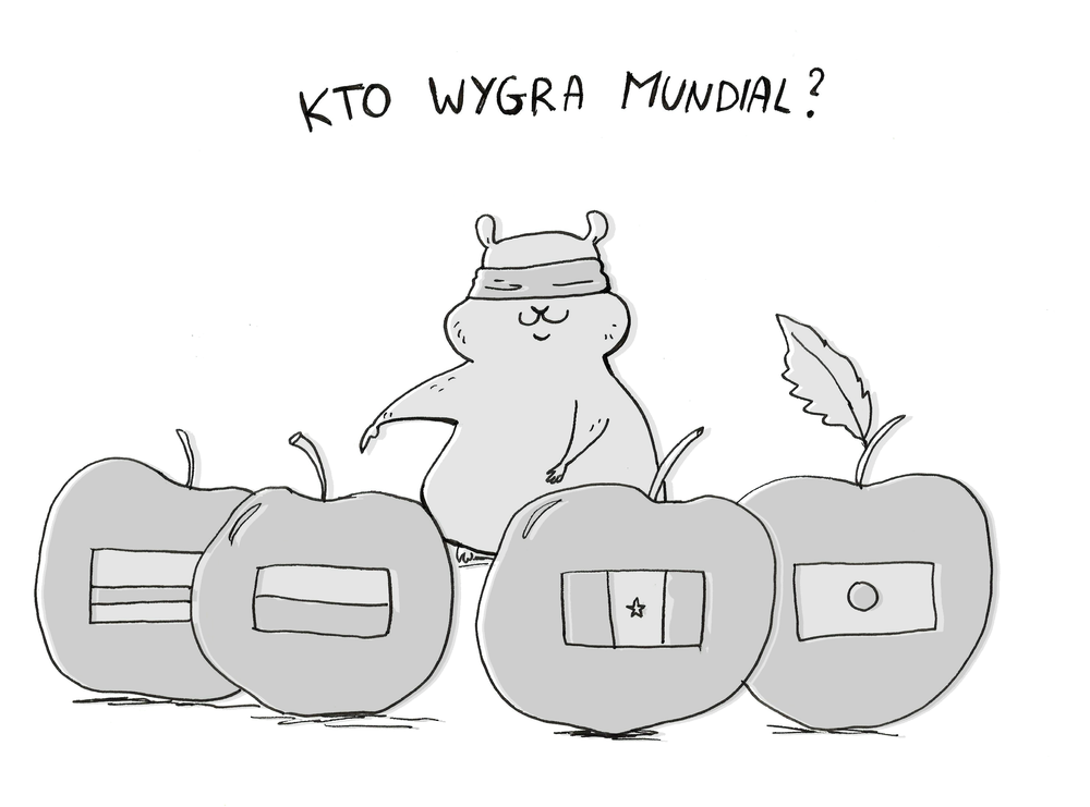 Kot Achilles wytypuje wyniki meczów Mistrzostw Świata 2018!