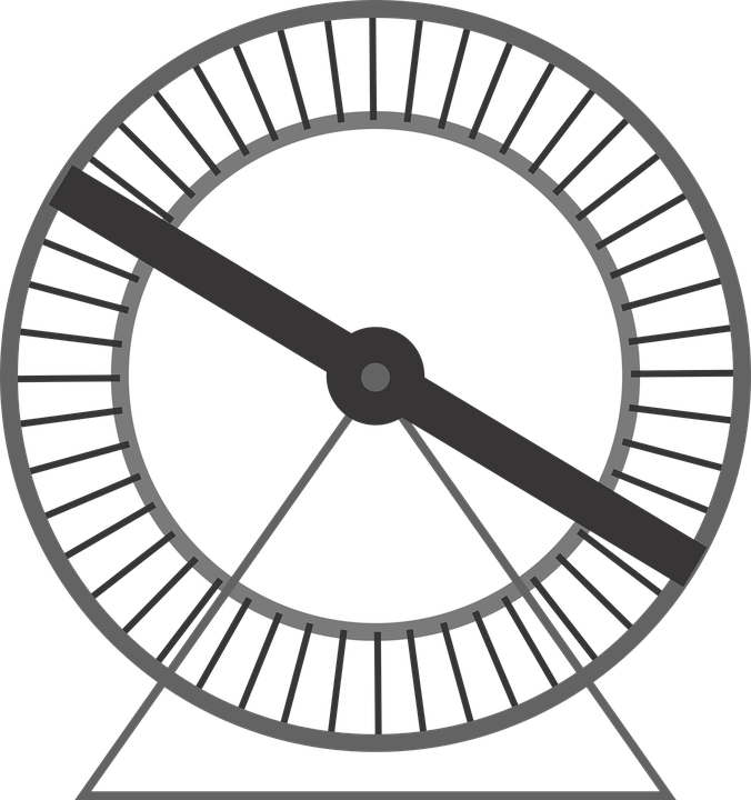 Niebezpieczny kołowrotek dla chomików.