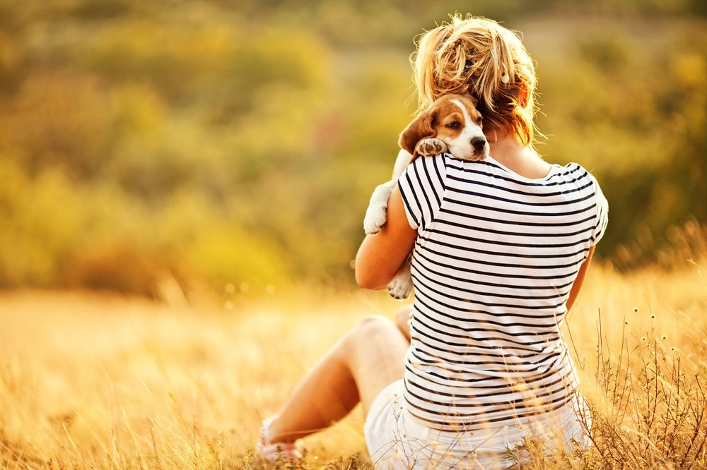 Szczeniak przytula się do pani na polance. Zdrowy szczeniak to szczęśliwy szczeniak.