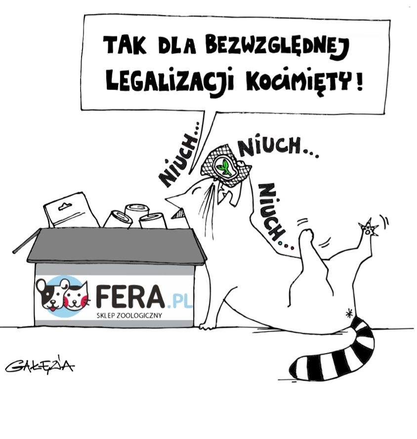 Kot niuchając kocimiętkę wykrzykuje "tak dla bezwzględnej legalizacji kocimiętki"