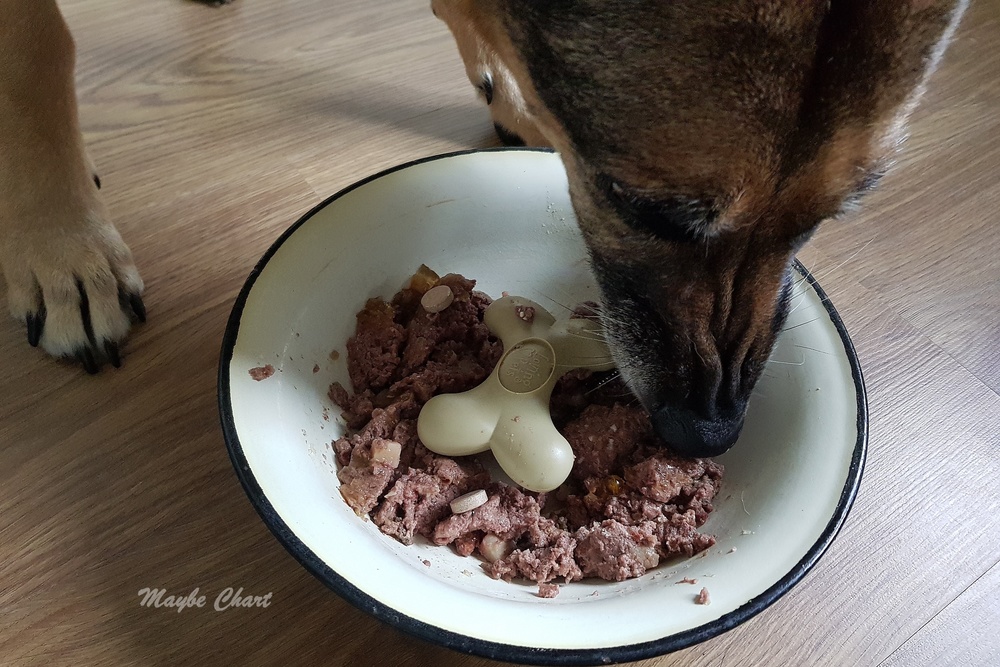 Dostępne są też wkładki do miski do przyczepienia na jej spód, utrudniają one jedzenie i można stosować je w każdej misce w jakiej się chce.