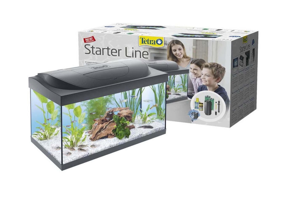 Jak urządzić akwarium?