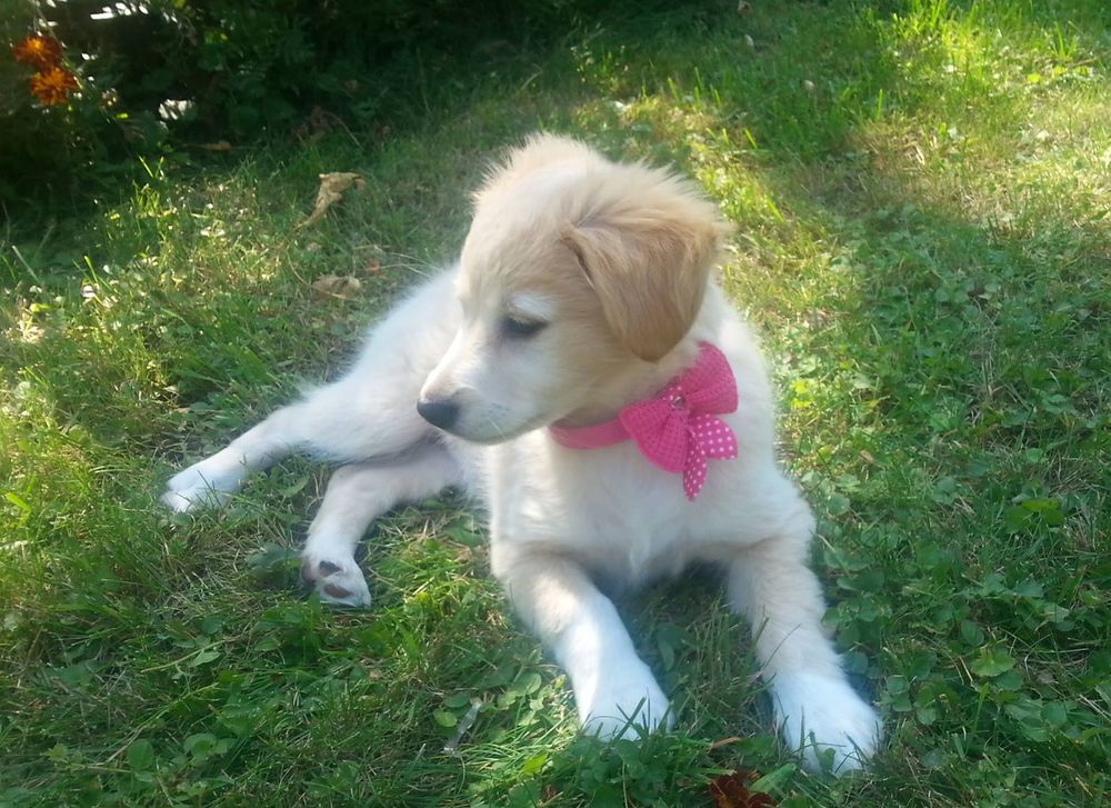 Moja historia adoocji.