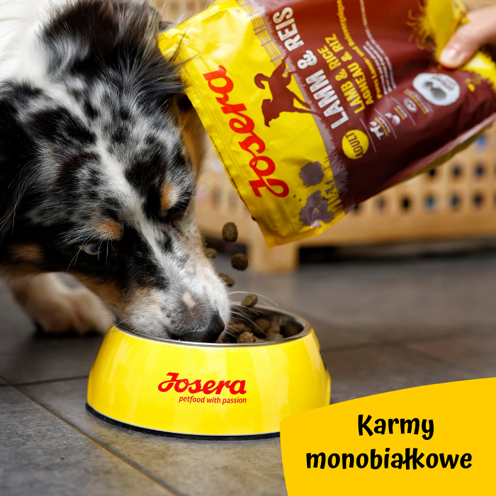 Karmy Josera monobiałkowe dla psów.