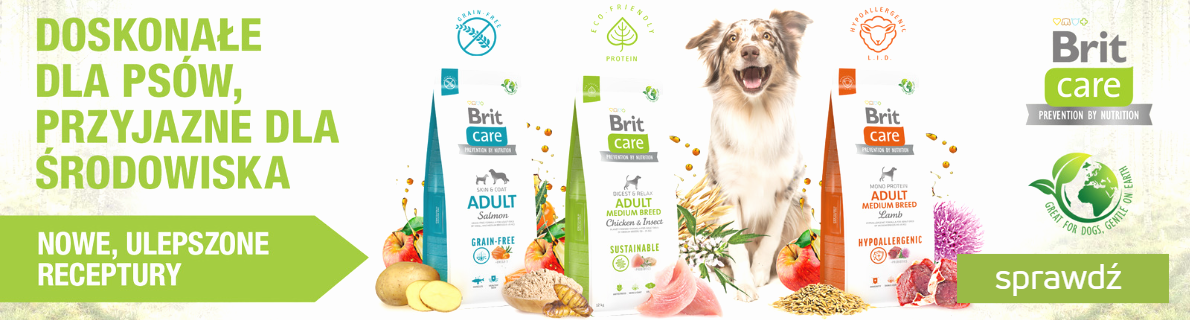 Nowy Brit care dla psów.