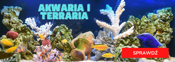 Zobacz ofertę akwariów i terrariów.