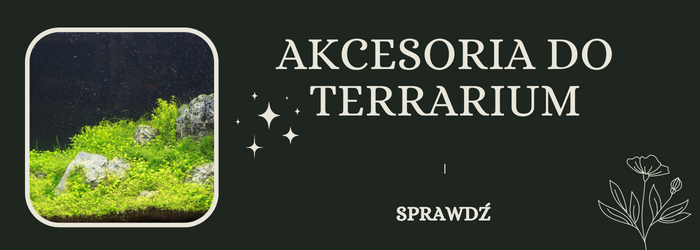 Oferta akcesoriów do terrarium.