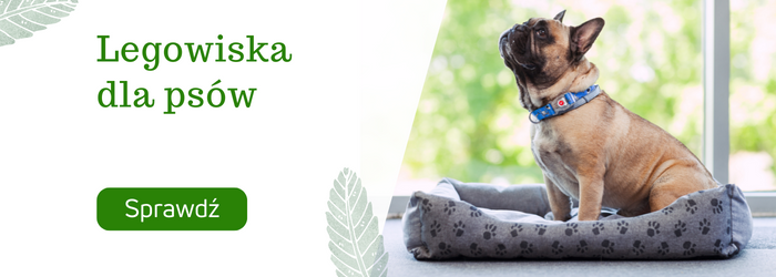 Legowiska dla psów.