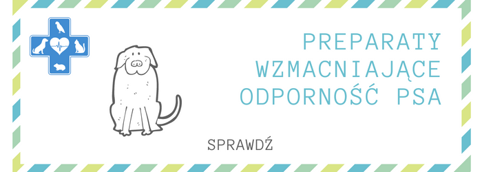 Preparaty na zdrowie psa.