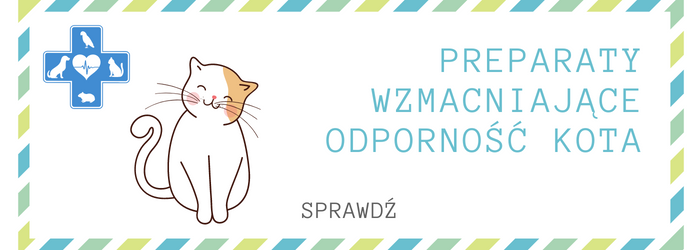 Zobacz ofertę suplementów dla kota.
