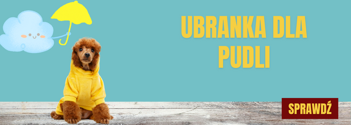 Sprawdź ubranka dla pudli.