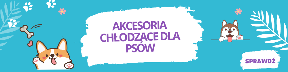 Akcesoria chłodzące dla psów