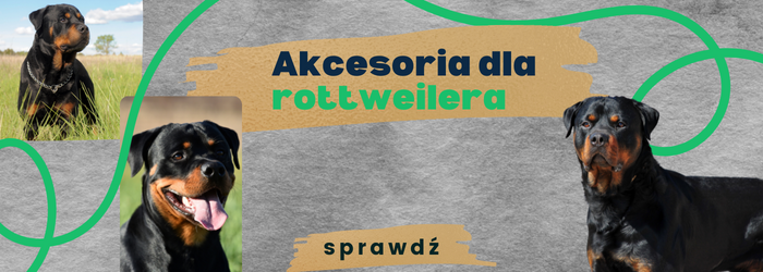 Akcesoria dla rottweilera.