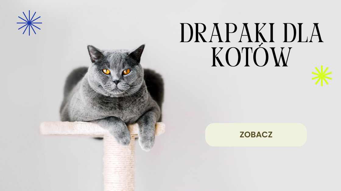 Zobacz ofertę drapaków dla kotów.