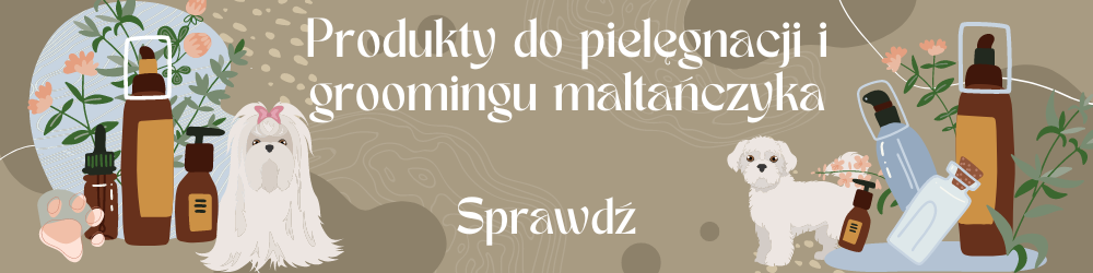 Kosmetyki do pielęgnacji maltańczyków/