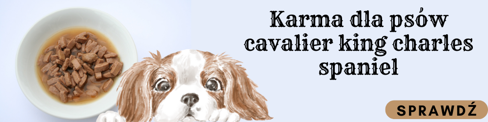  Zobacz karmę dedykowaną dla psów rasy Cavalier King Charles Spaniel