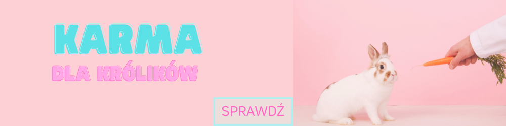 Oferta karm dla królików