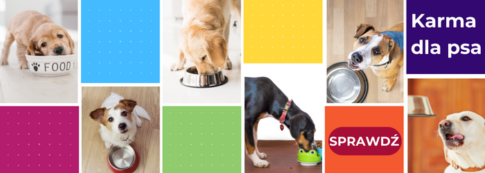 Zobacz ofertę karm dla psów.