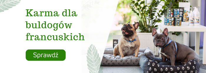 Sprawdź karmy bezzbożowe dla buldożków