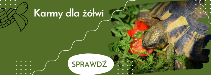 Oferta karm dla żółwi.