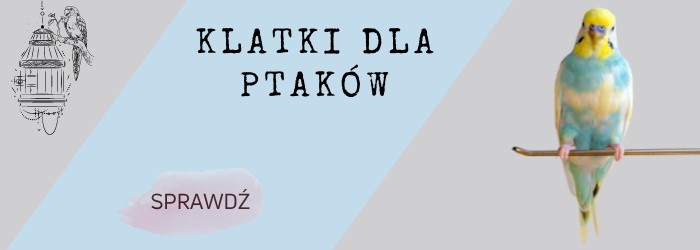 Klatki dla papugi falistej.