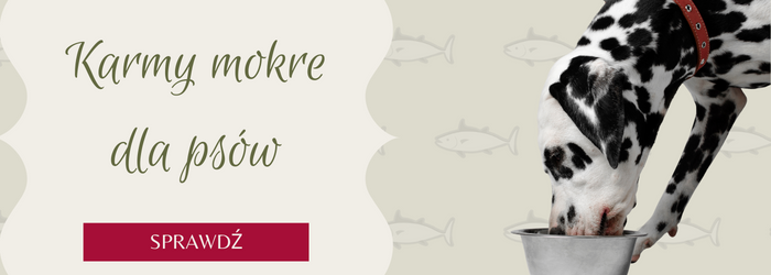 Oferta mokrych karm dla psów.
