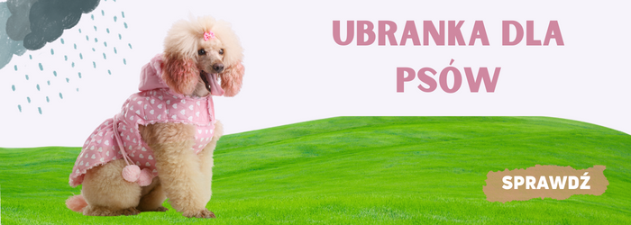 Sprawdź ofertę ubranek dla psów.
