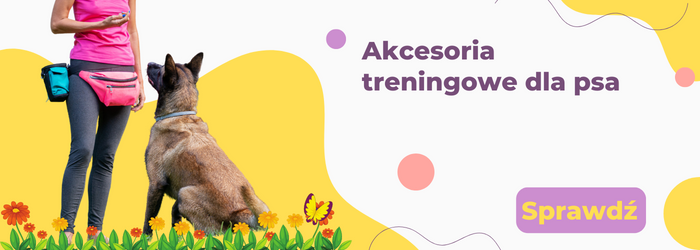 Akcesoria treningowe dla psa.