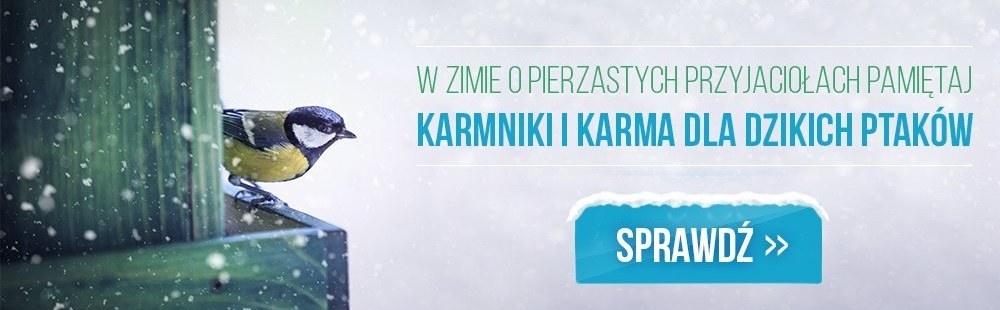 Kup karmę do dokarmiania ptaków.