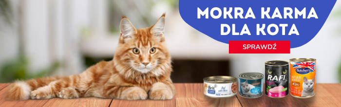 mokra karma dla kota