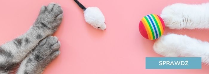 Zobacz najlepsze zabawki dla kota