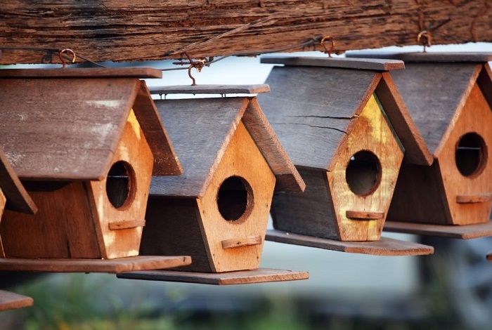 Zawieszone budki lęgowe dla ptaków.