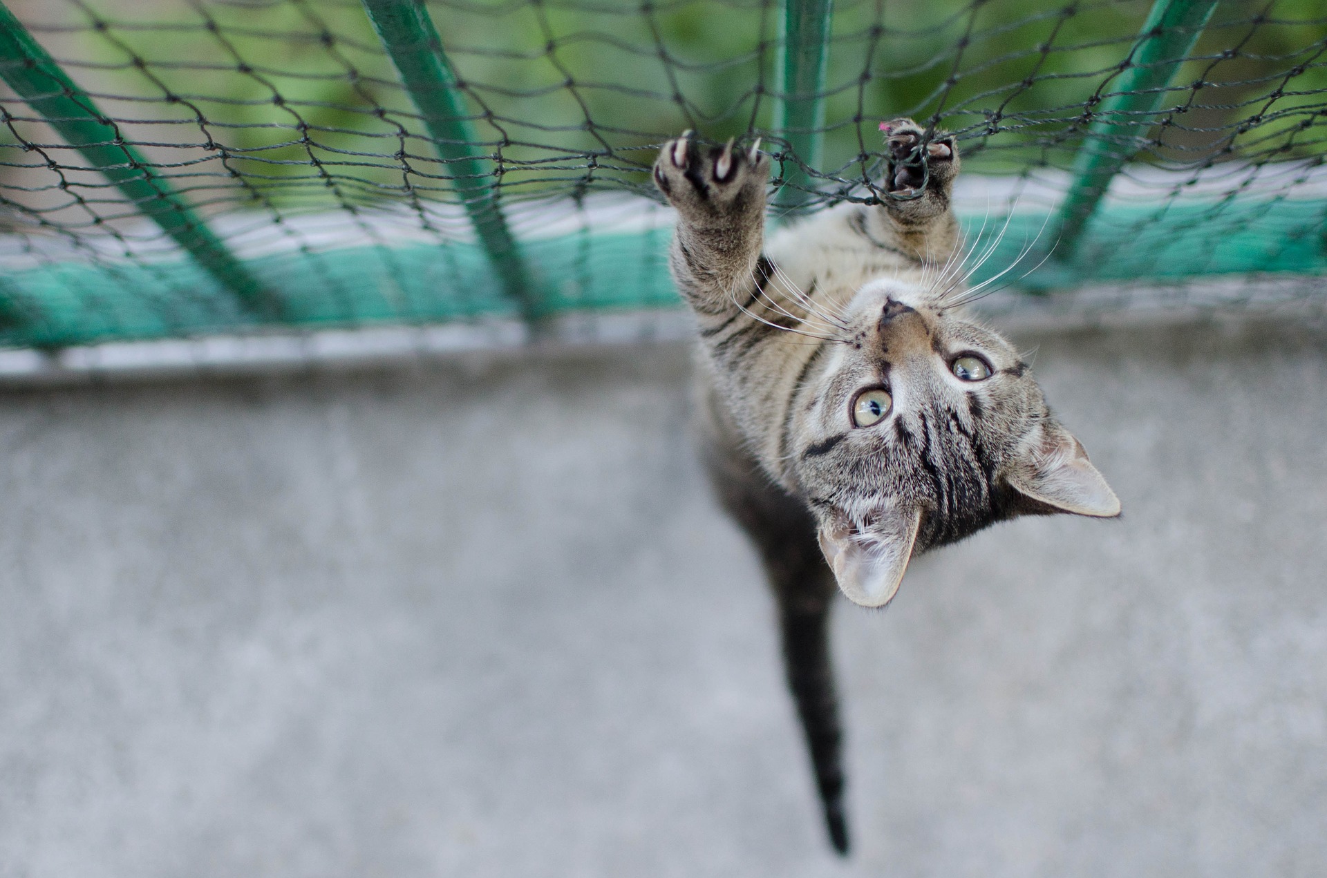 Siatka na balkon powinna być wytrzymała i mocna. Co pewien czas należy sprawdzać jej stan.