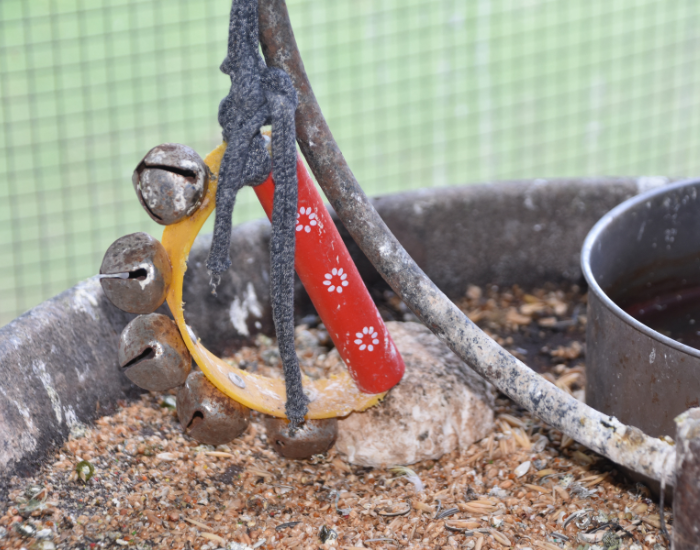 Drewniana zabawka dla papug.