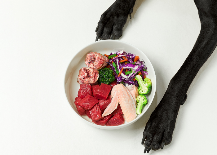 Dziczyzna BARF dla psa.