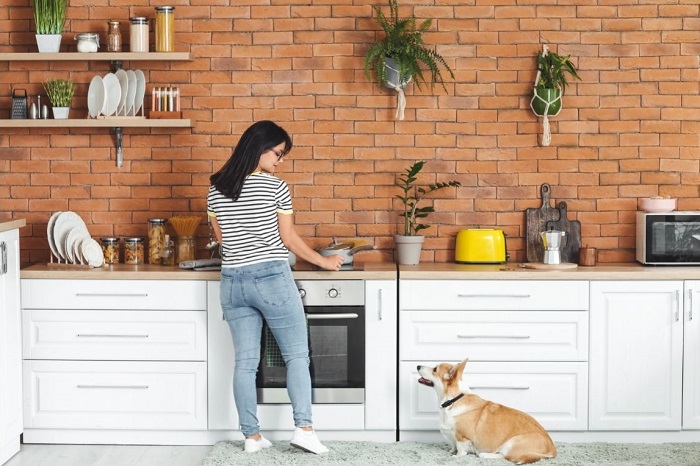 Pies prosi w kuchni o jedzenie.