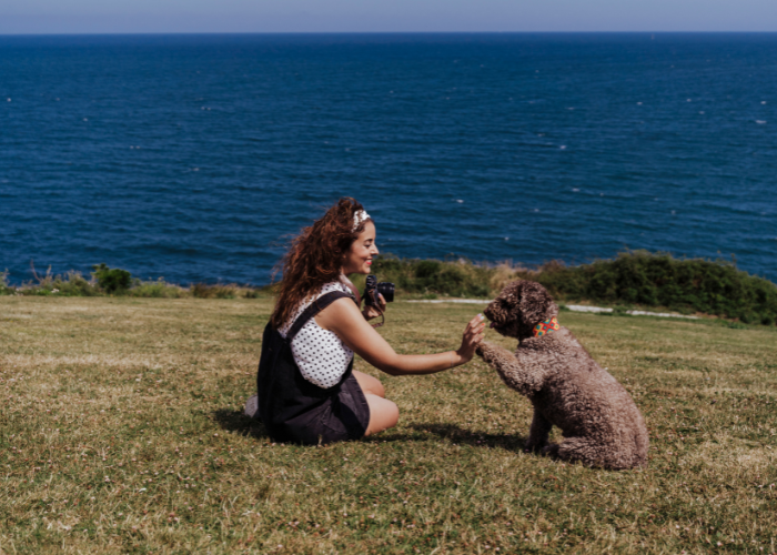 Jaki jest hiszpański pies dowodny?