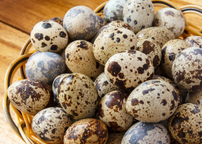 Jaja przepiórcze.