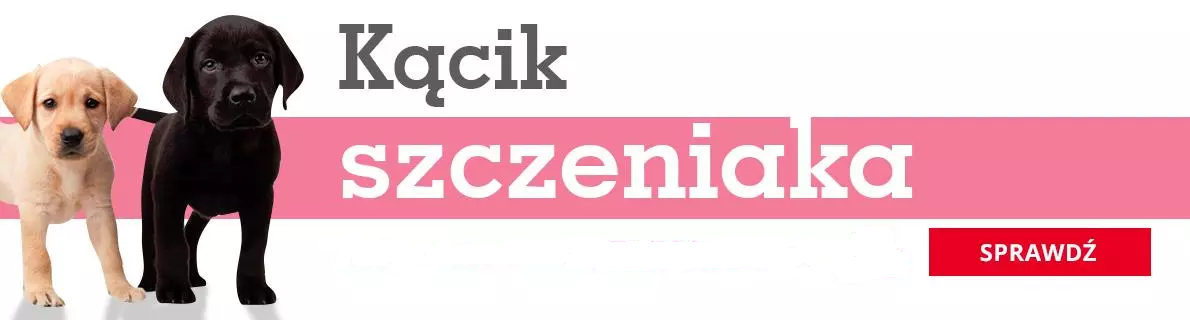 kąsik szczeniaka 
