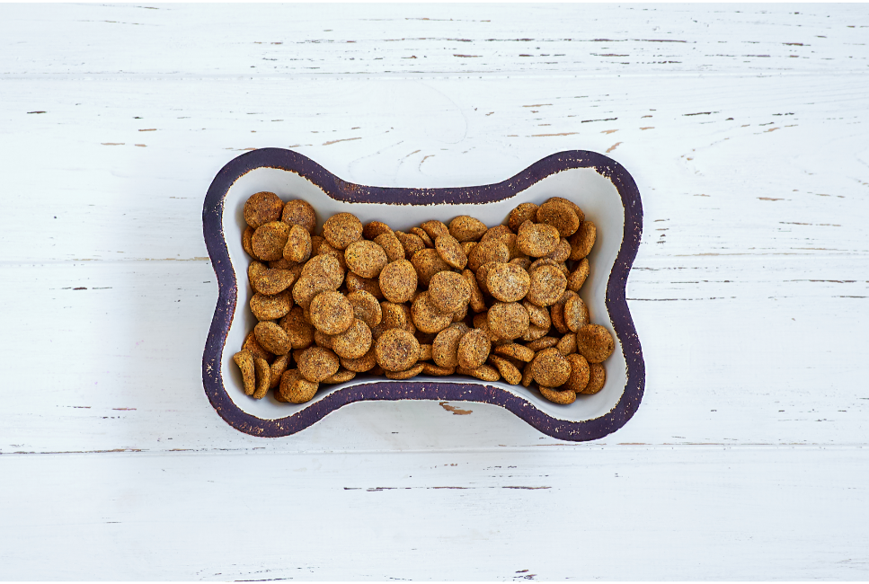 Karmy Royal Canin - zindywidualizowane żywienie psów i kotów.