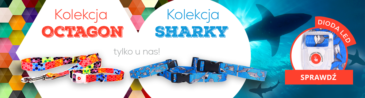 Kolekcja akcesoriów treningowych Fera Octagon Sharky.