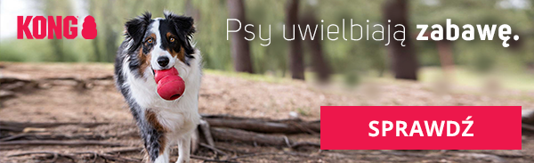 Zobacz ofertę zabawek KONG dla psa