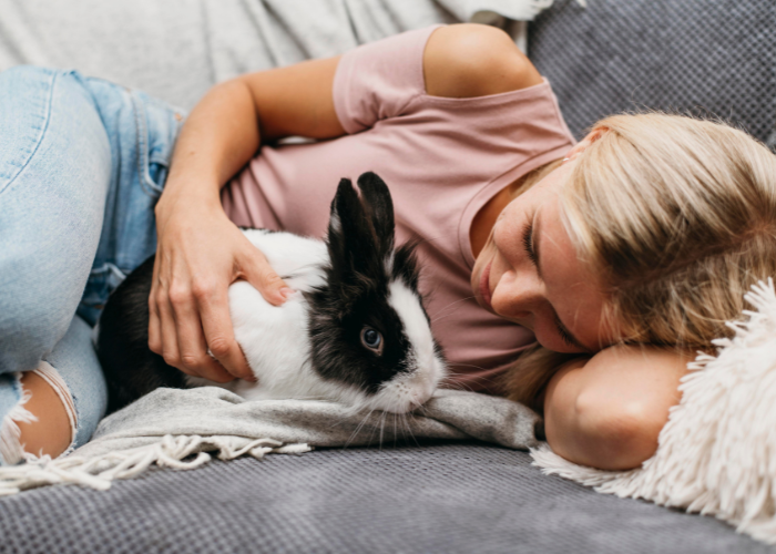 Dbanie o sierść królika.