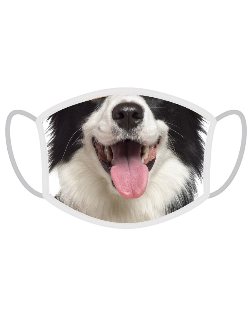 Maseczka z wizerunkiem Border collie