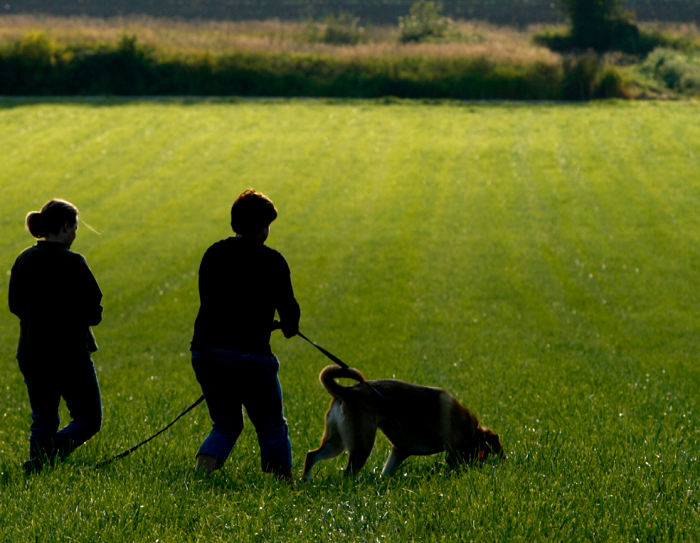Nauka psa tropienia.
